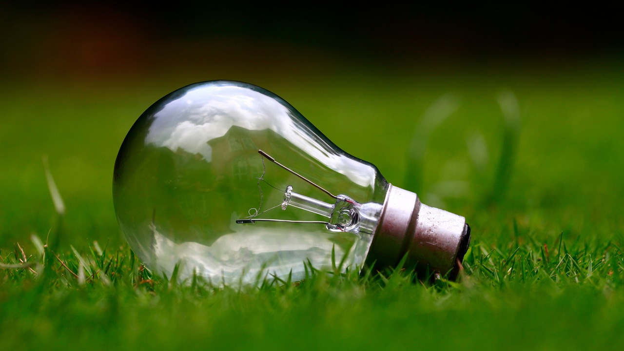 renewable resources examples