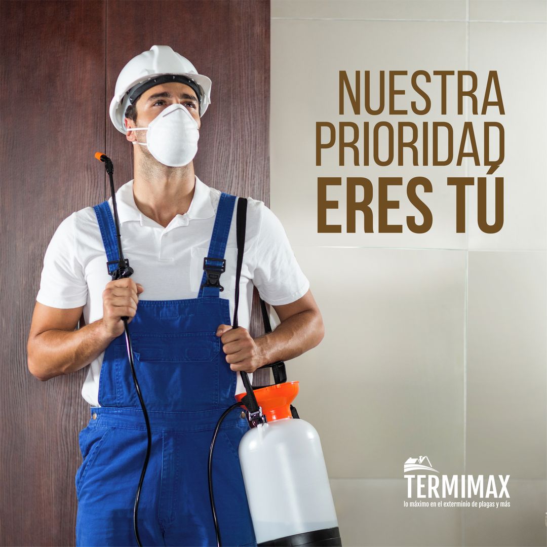 Fumigación Santo Domingo